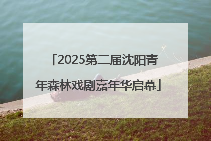 2025第二届沈阳青年森林戏剧嘉年华启幕